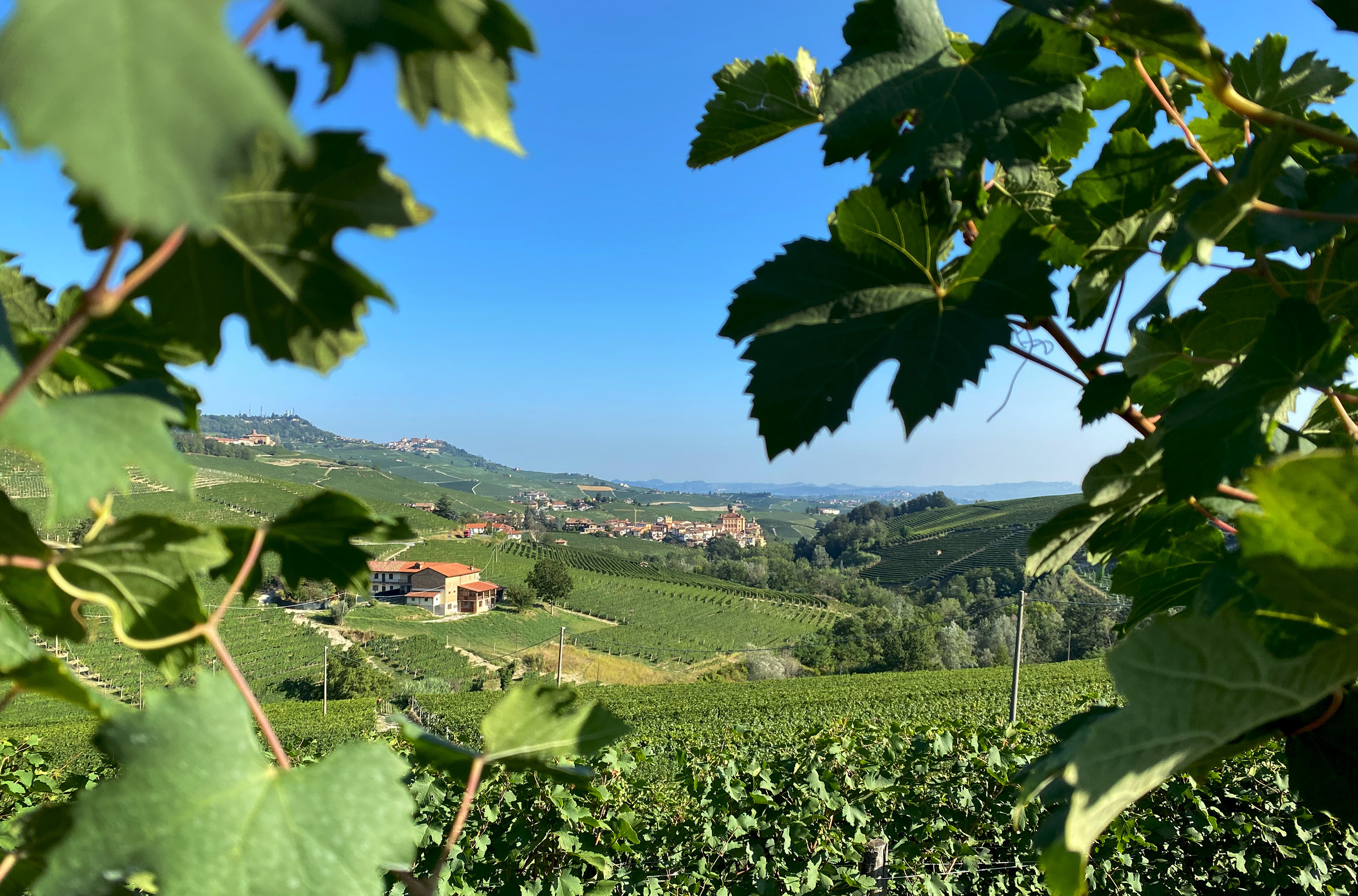 Das Piemont - Genuss am Fuße der Alpen