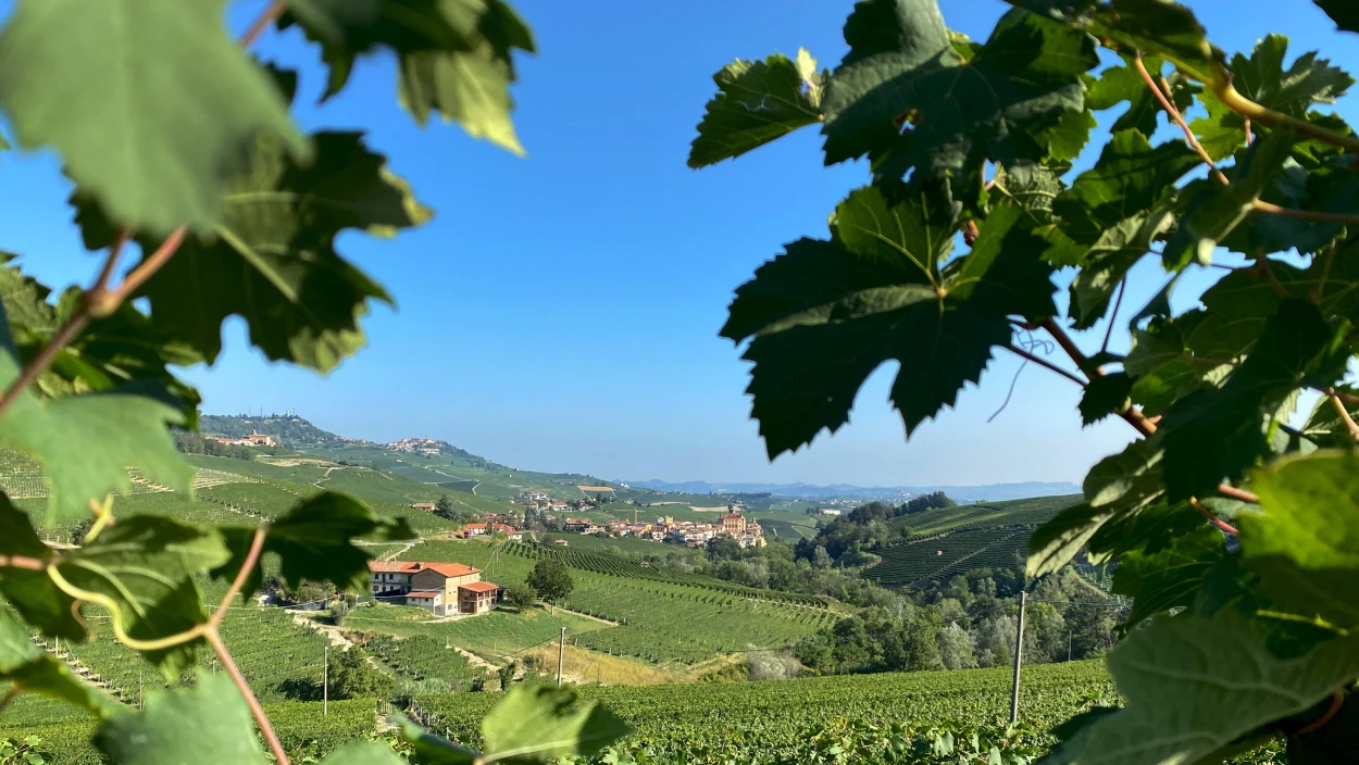 Das Piemont - Genuss am Fuße der Alpen