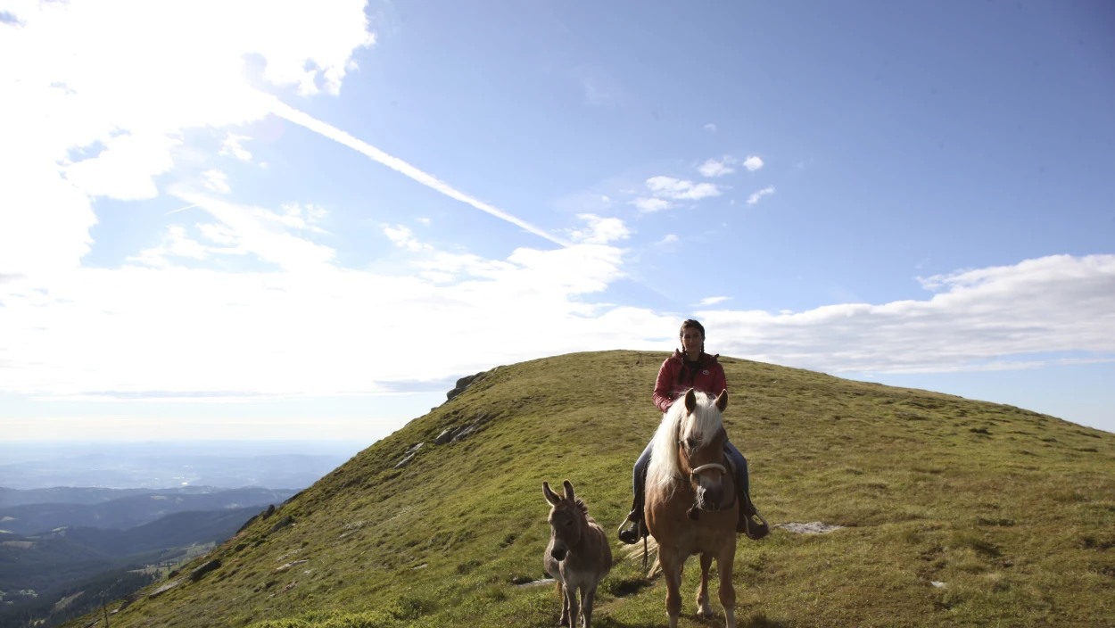 Rund um die Lavanttaler Alpen