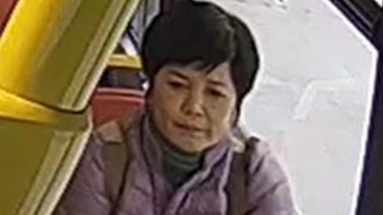 Chinesischer Okkultbetrug in Wien