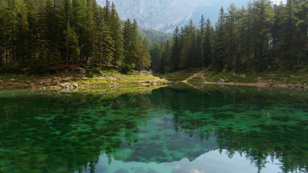 Naturwunder Grüner See