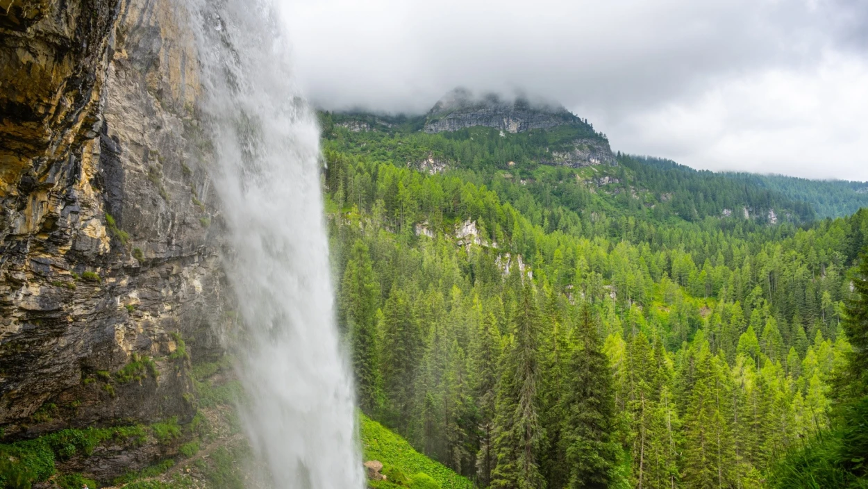 Kraftplätze: Wie die Natur Körper und Gesundheit beeinflusst