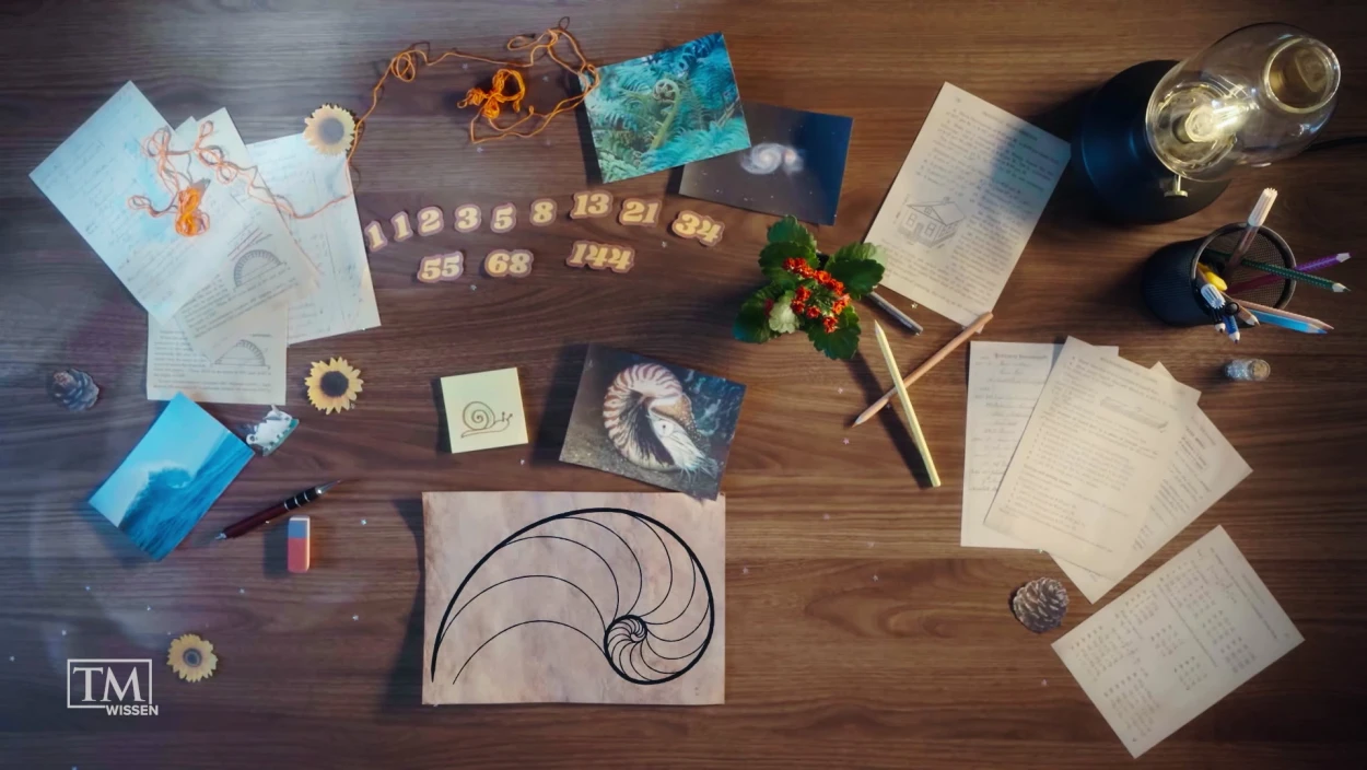 Warum sind überall Fibonacci-Zahlen?