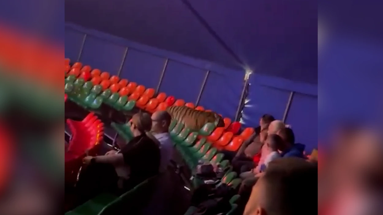 Servus Nachrichten in 90 Sekunden - 18:00 Uhr