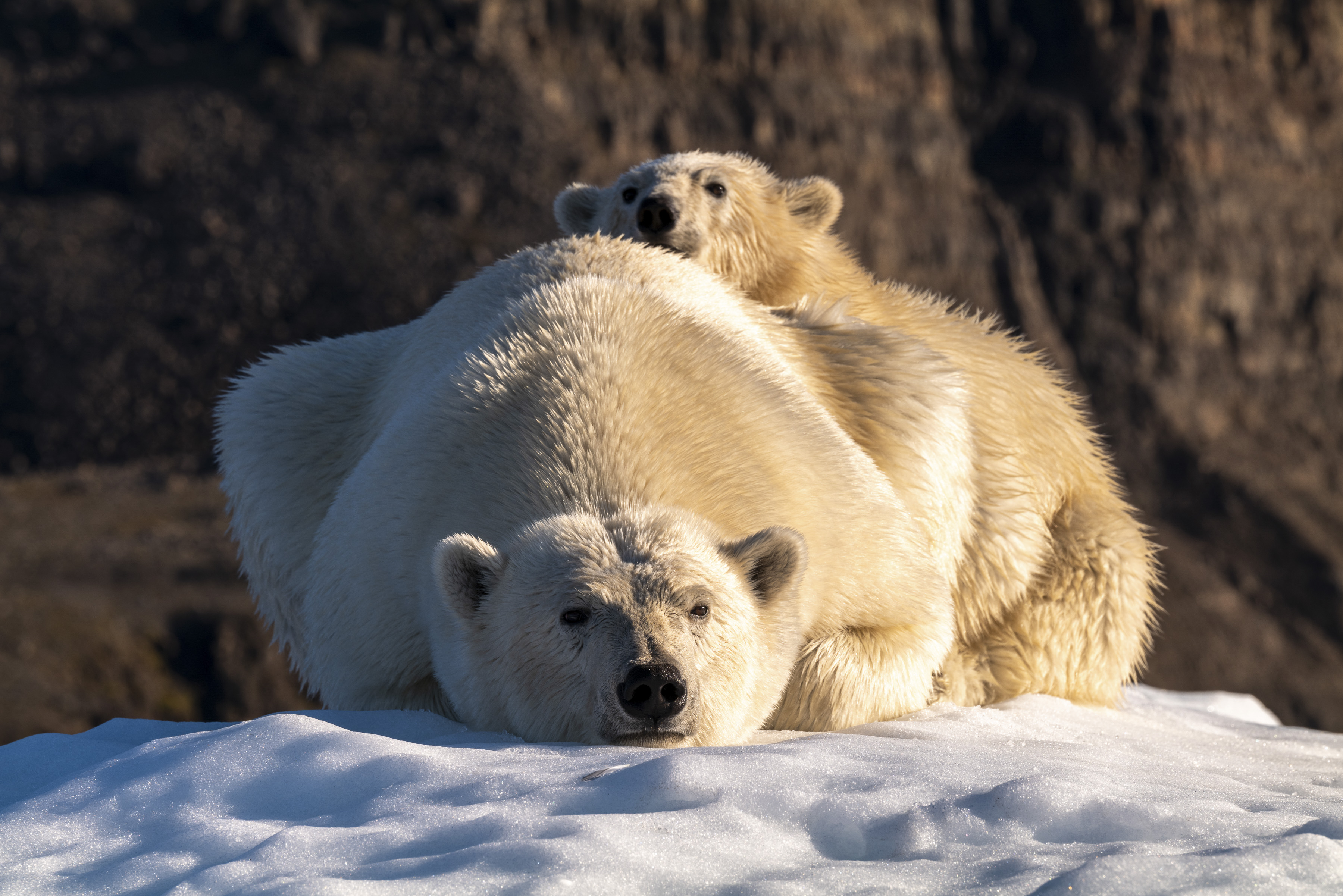 Grönland – Schmelzende Schönheit