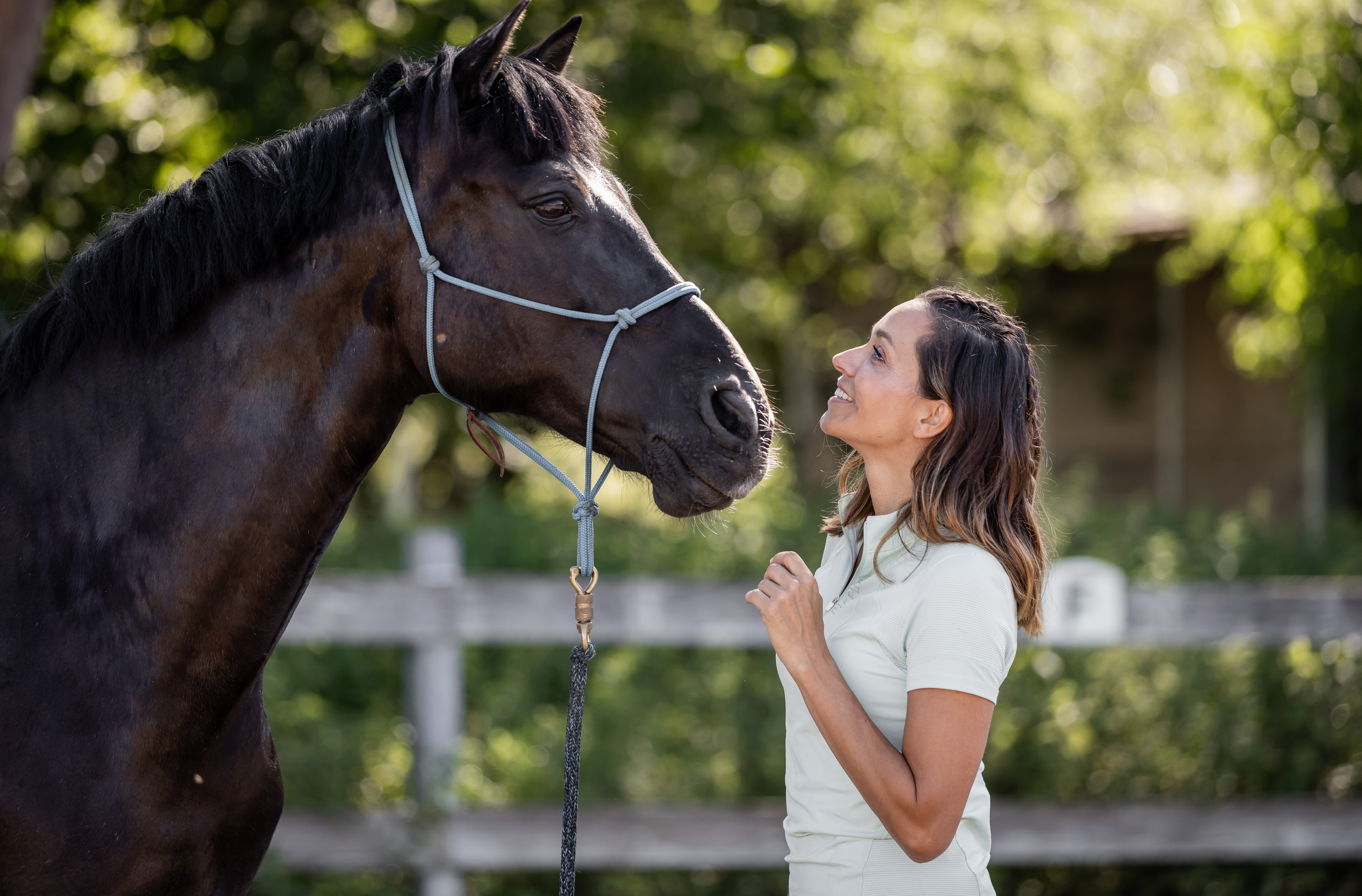 Horsemanship - die Sprache der Pferde