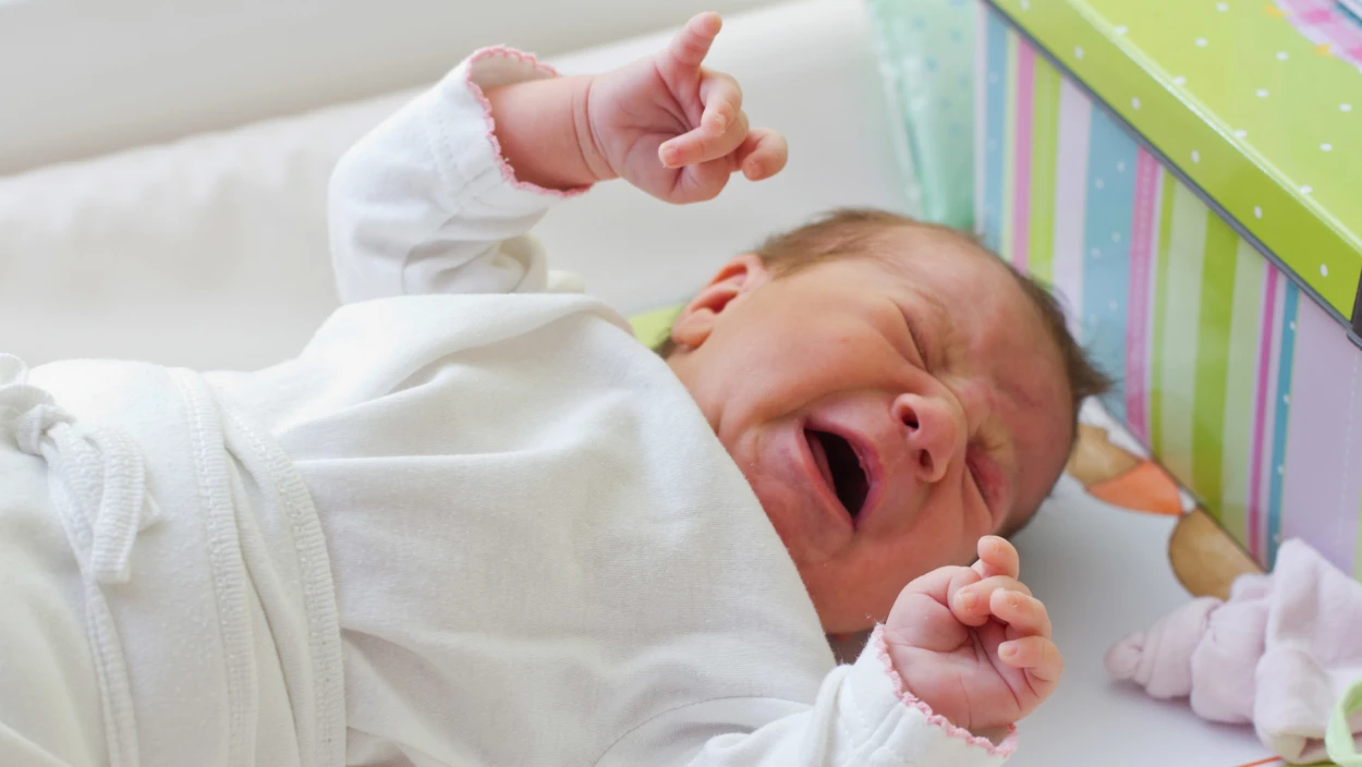 Gender-Irrsinn: Eltern-Kind-Pass mit sechs Geschlechtern