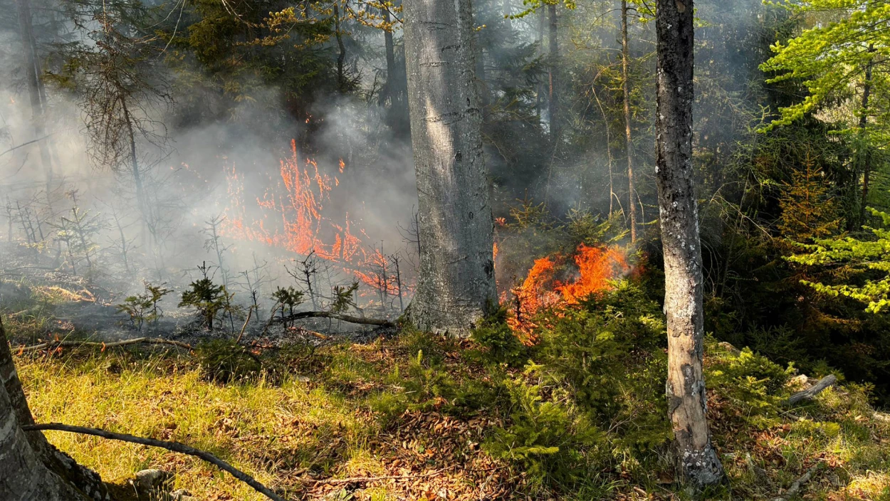 Trockenheit: Großbrände im Süden Österreichs