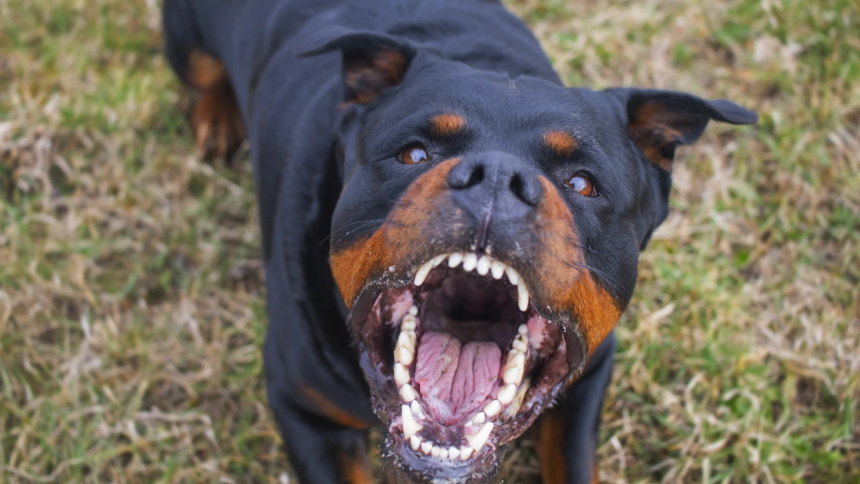 Servus Nachrichten in 90 Sekunden - 07:00 Uhr
