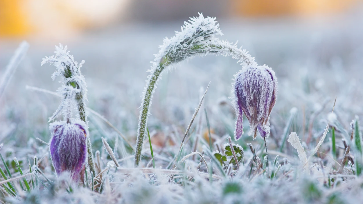 Servus Wetter in 90 Sekunden