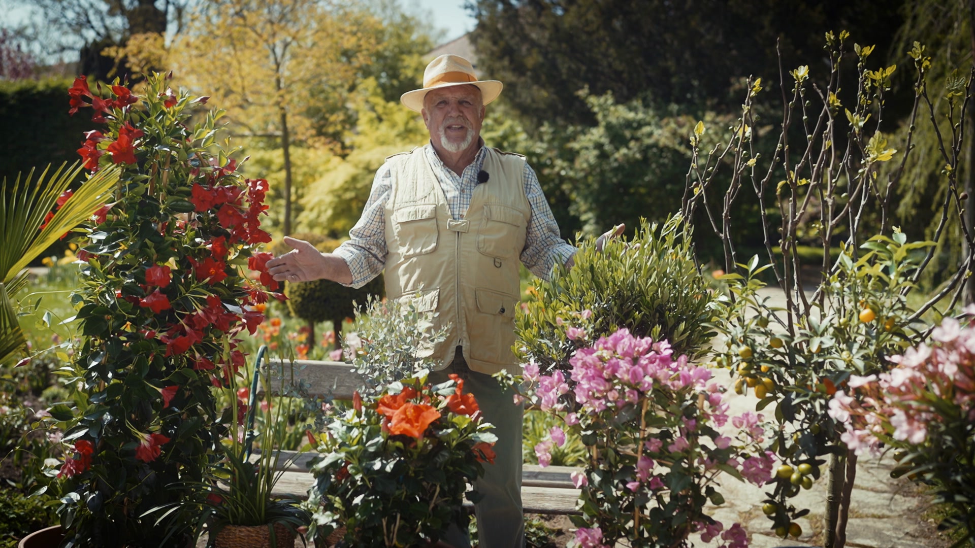 Garten-Tipps von Josef Starkl: Klimaschonend gartln
