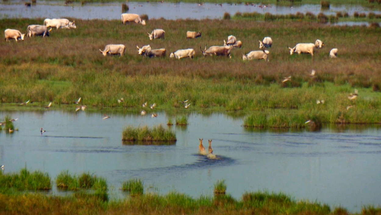Paradies der Steppe
