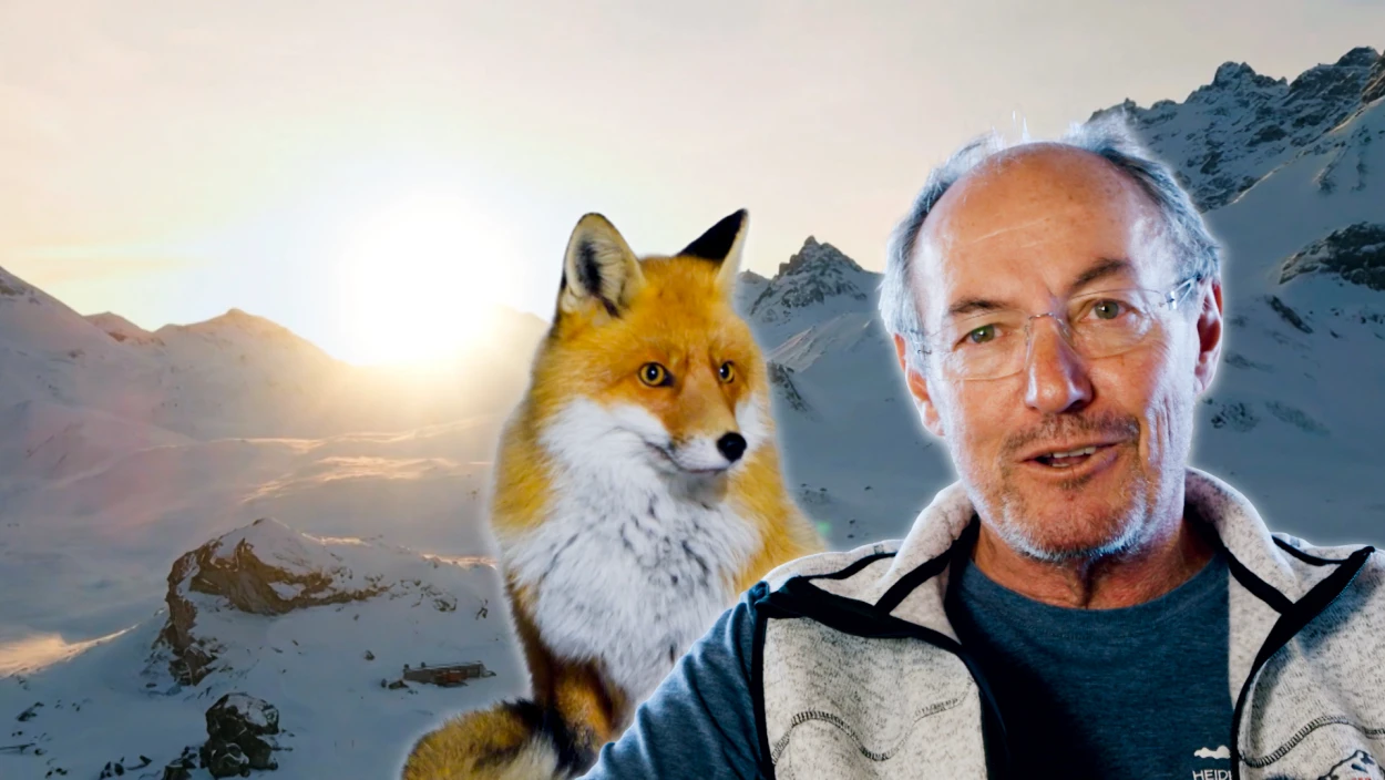 Die Heidelberger Hütte