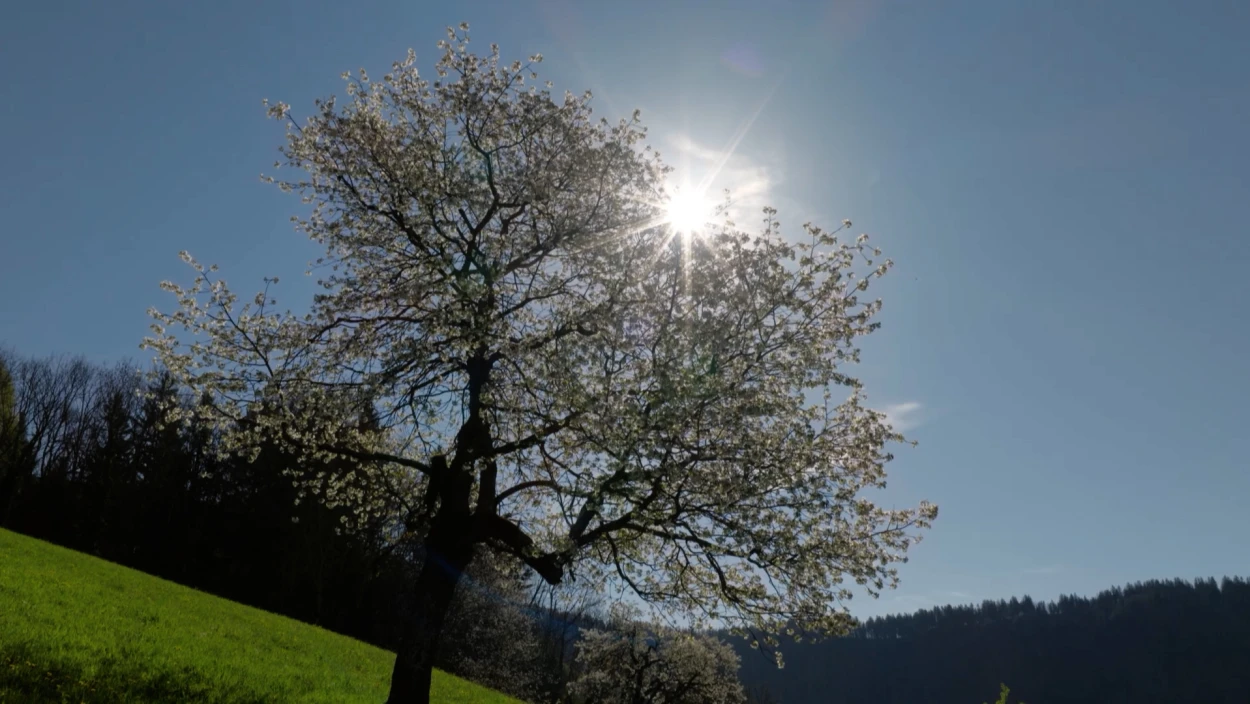 Servus Wetter in 90 Sekunden