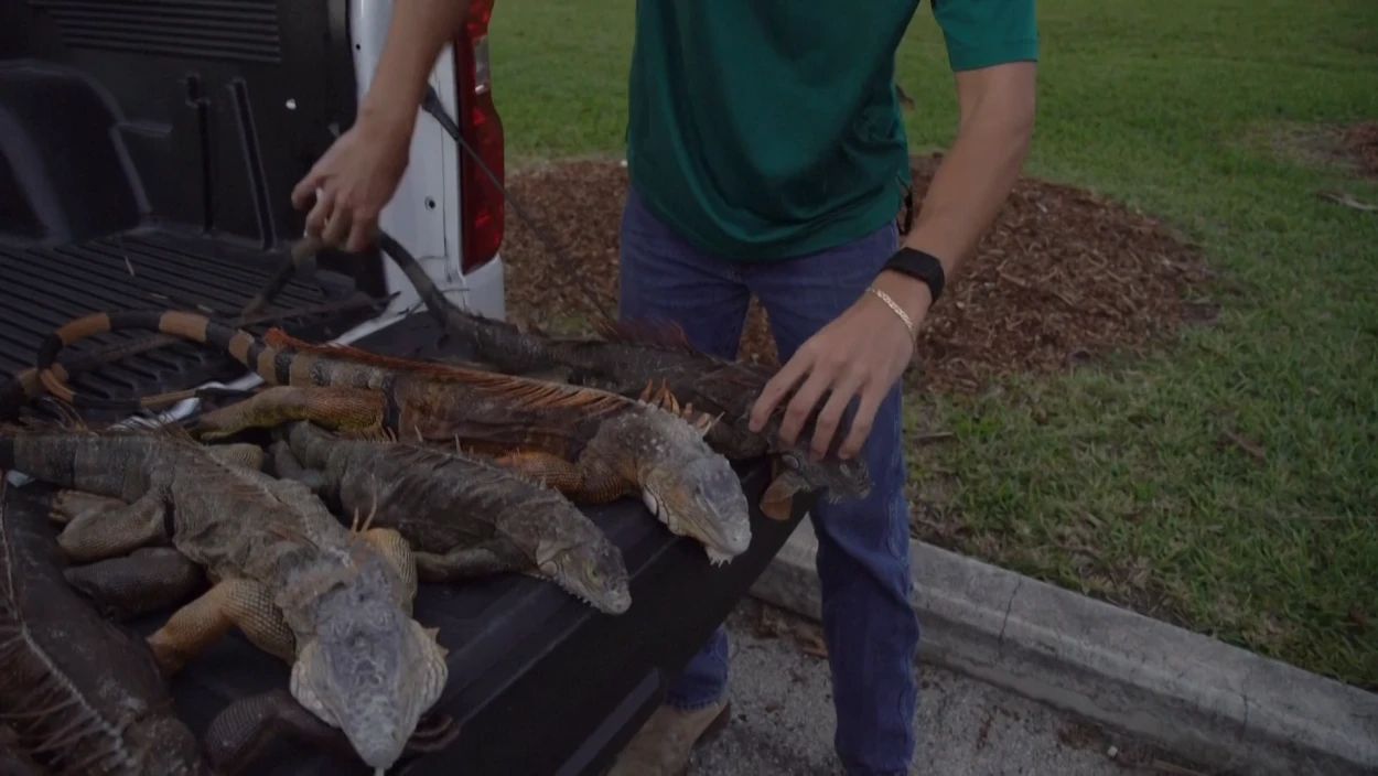 Servus Nachrichten in 90 Sekunden - 09:00 Uhr