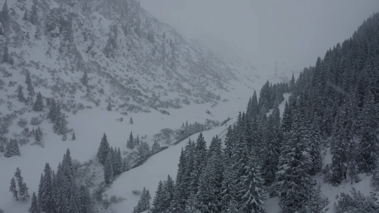 Servus Nachrichten in 90 Sekunden - 15:00 Uhr