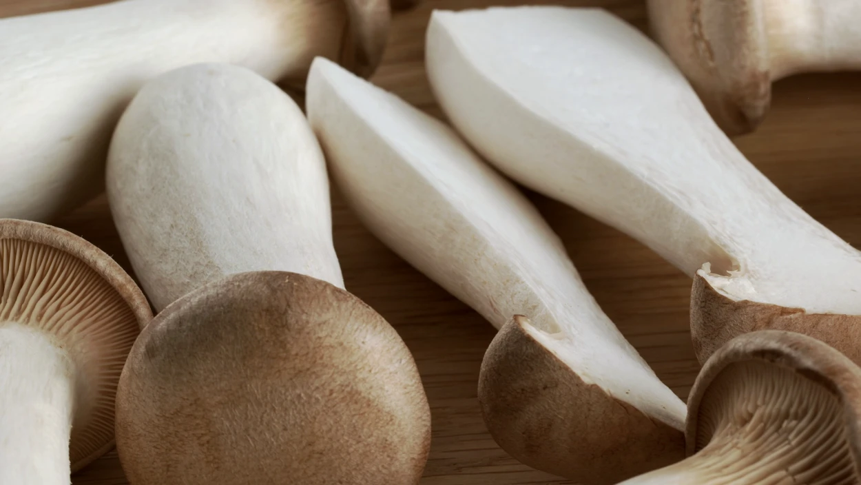 Pilzfabrik im Marchfeld: Kräuter-Seitlinge wachsen in Flaschen