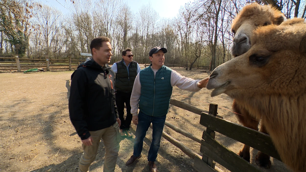 Versicherungsagenten-Brüderpaar kauft Zoo im Burgenland