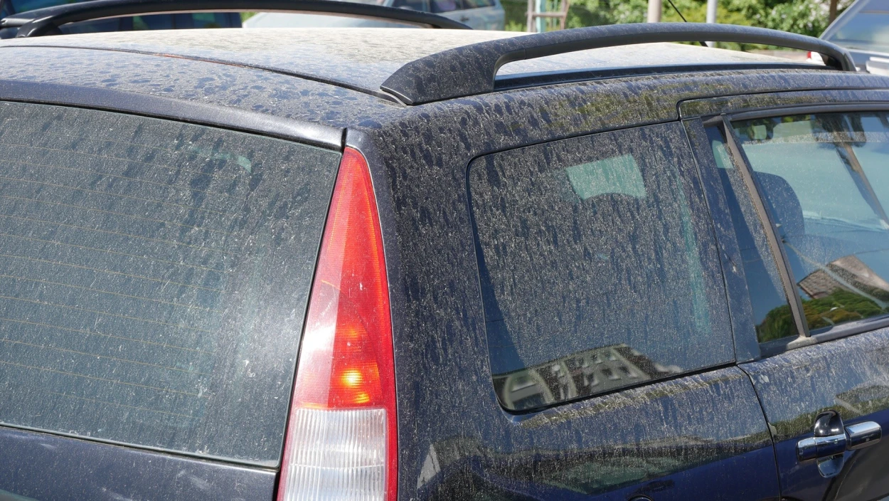 Sahara-Staub: Gefahr für die Gesundheit?