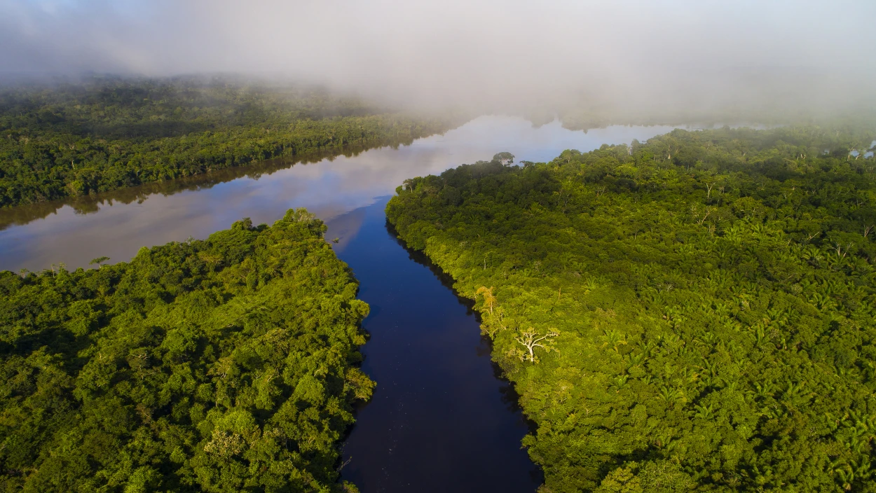 Der Amazonas