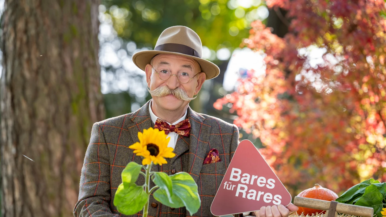 Auf Schloss Drachenburg