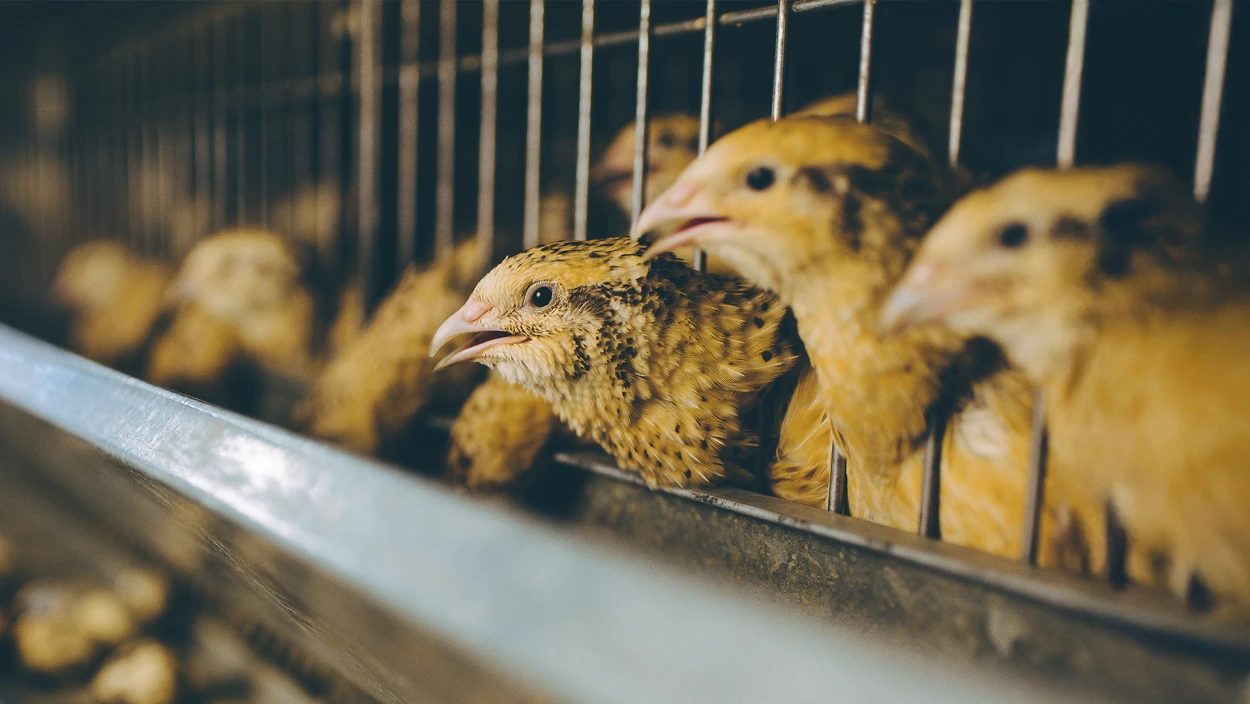 Bundesländer-News vom 06.02.