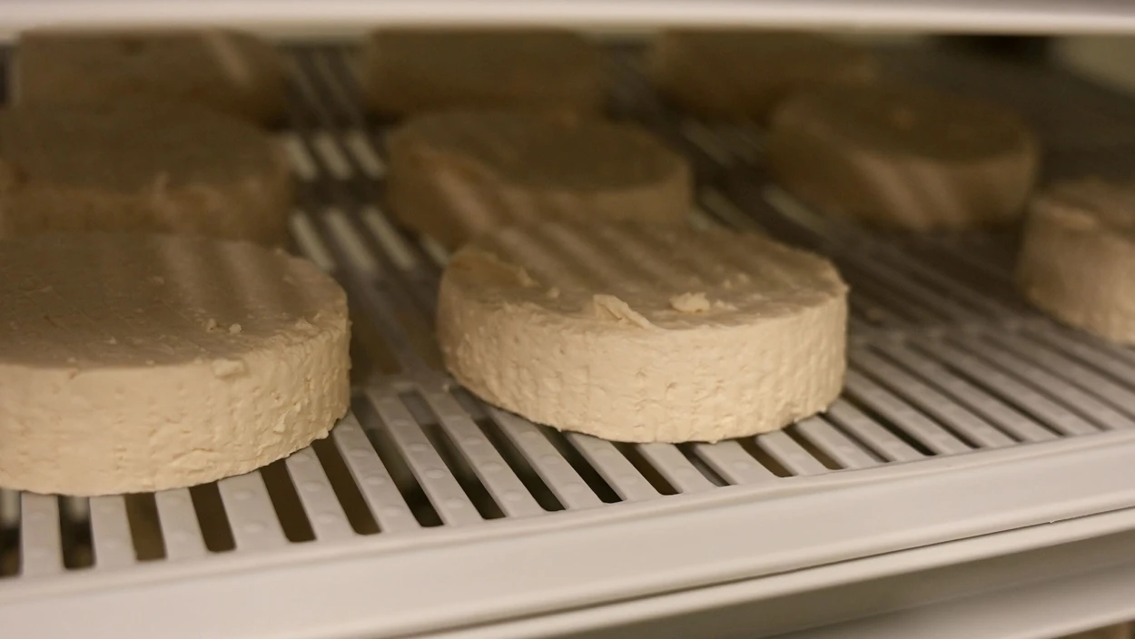 Käse aus Kernen?