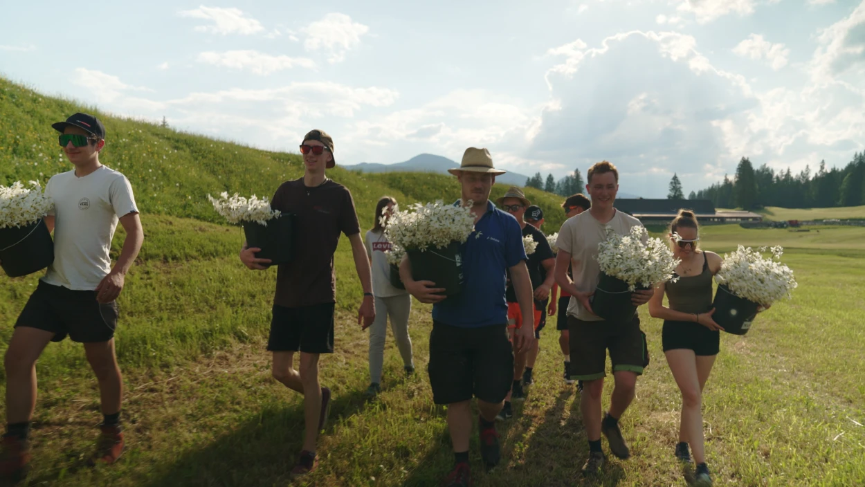 Frühling feiern - Zwischen Grundlsee und Gesäuse