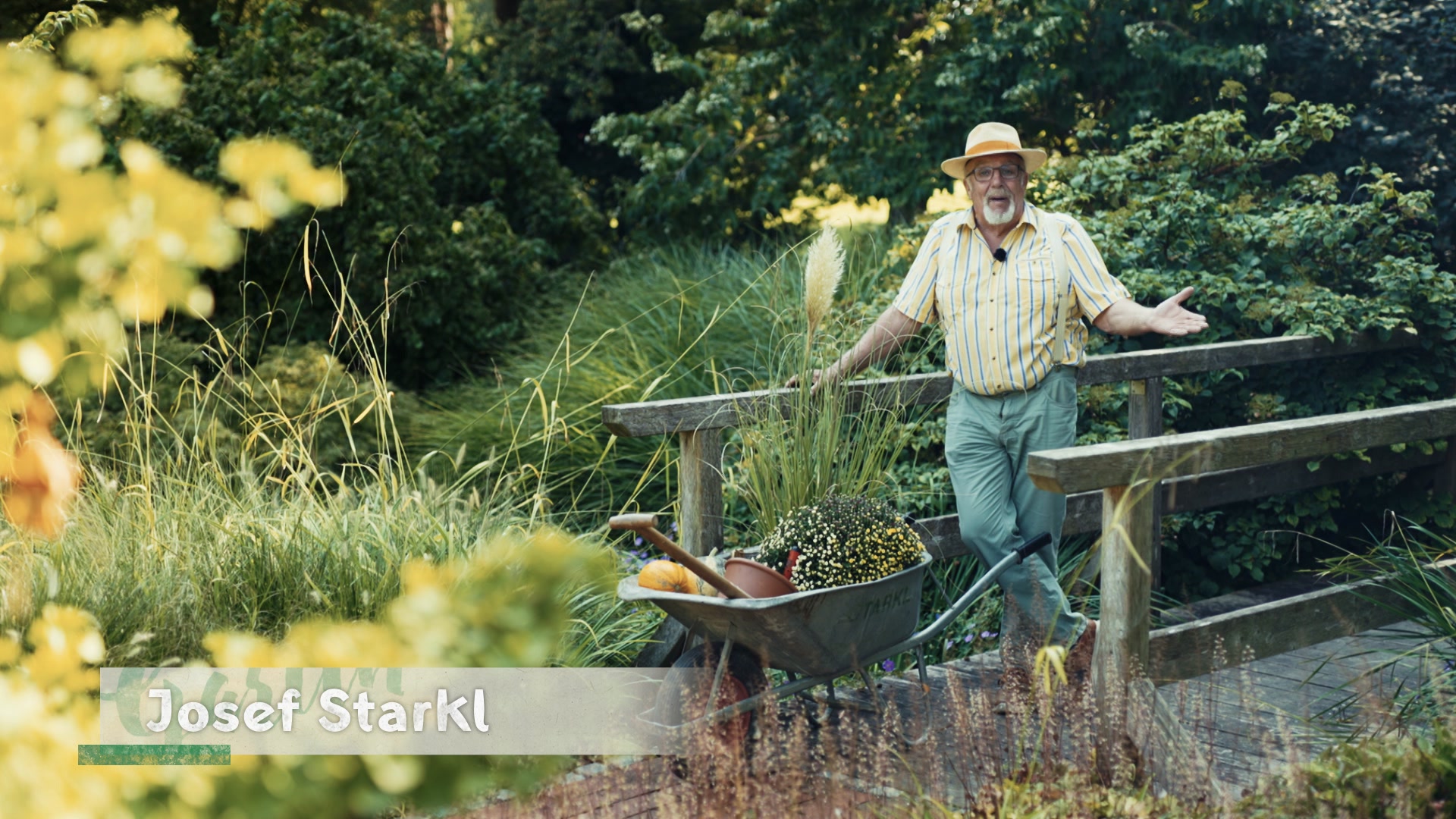 Garten-Tipps von Josef Starkl: Der Herbstgarten & mehr