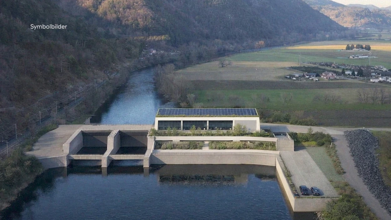 Mur-Kraftwerk gefährdet bedrohte Fischart