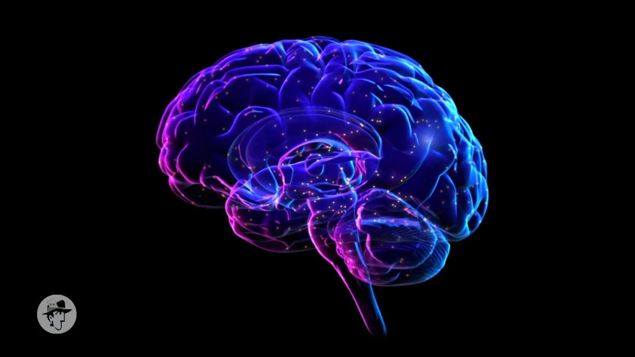 "Doom-Scrolling": Wie digitale Dopamin-Schübe unser Gehirn beinflussen