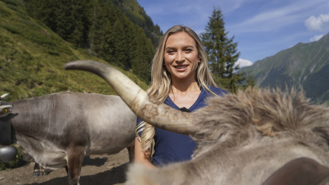 Geben Kühe mit Horn bessere Milch?
