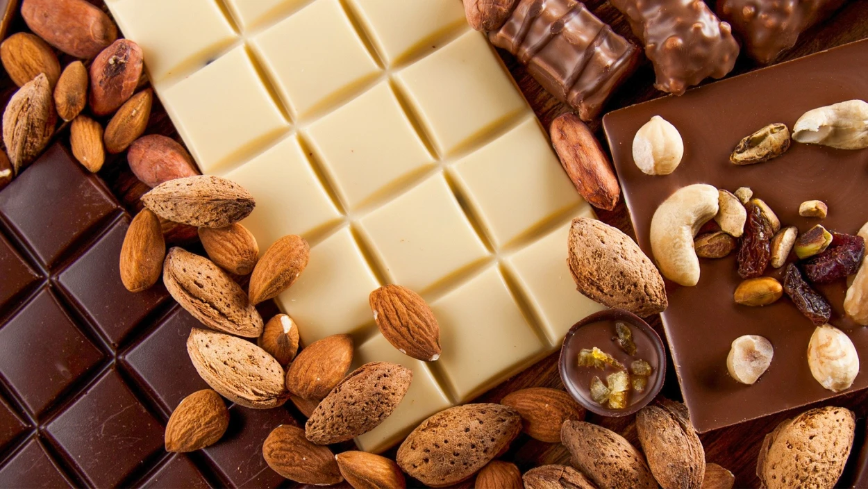 Schokolade aus Sonnenblumenkernen: Neue Alternative wegen hoher Kakaopreise