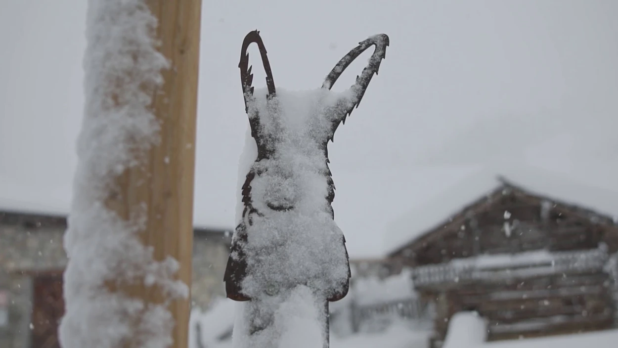 Eiseskälte in Österreich: Bald geht es bergauf