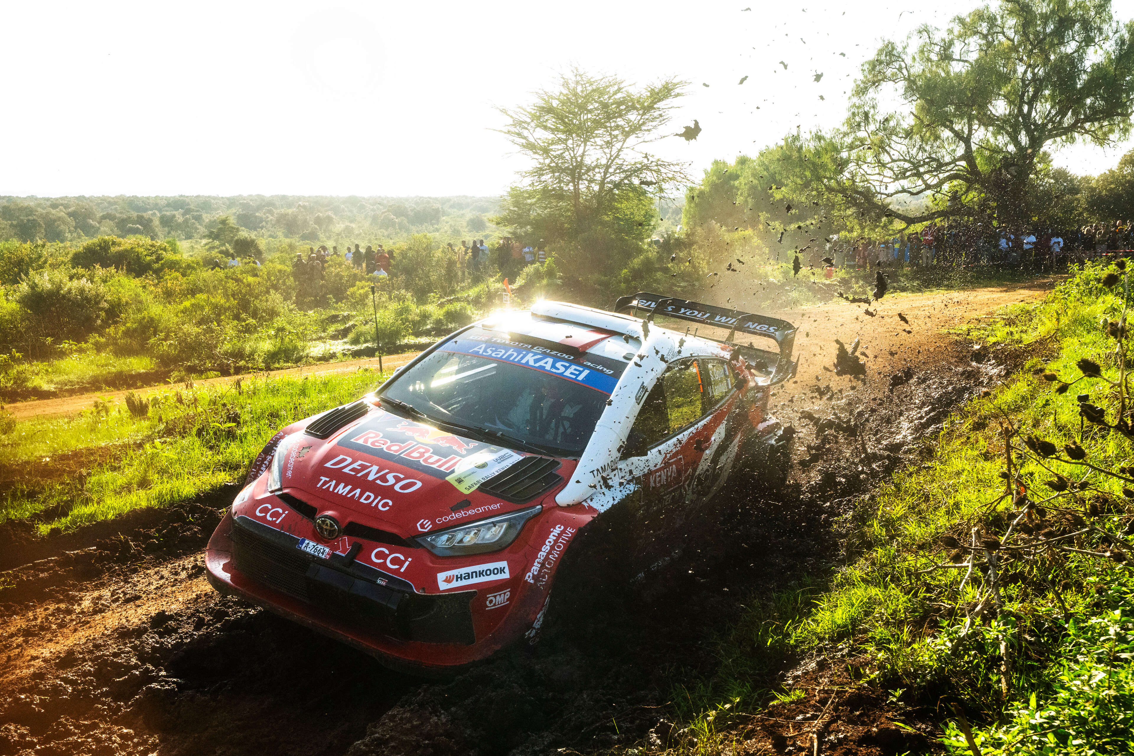 Rallye Kroatien: Wolf Powerstage - Vorbericht