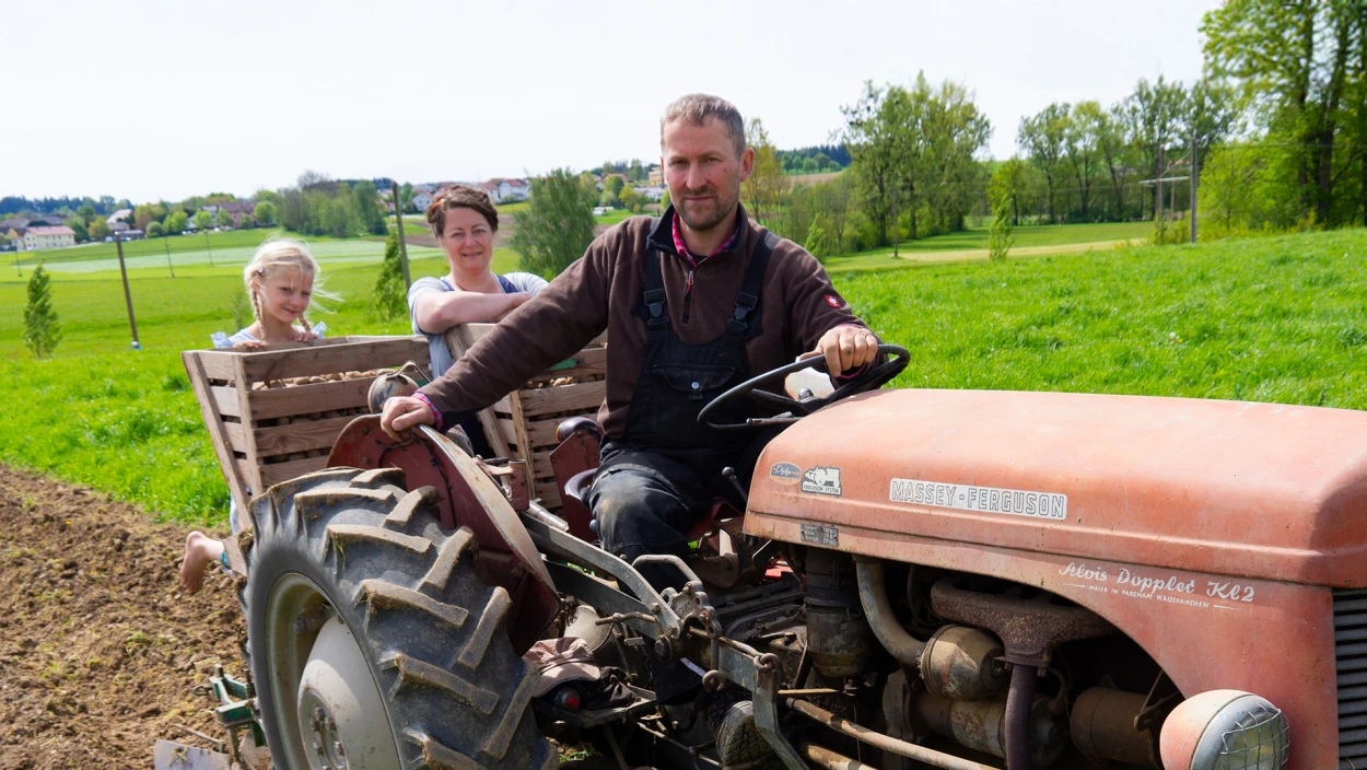 Frühling im Bauernjahr: Ferkel-Nachwuchs bei Familie Doppler