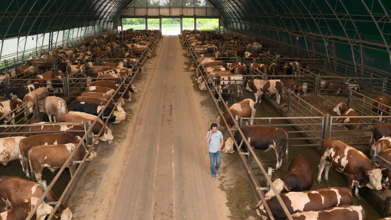 Herr der tausend Stiere - Österreichs größter Bauer