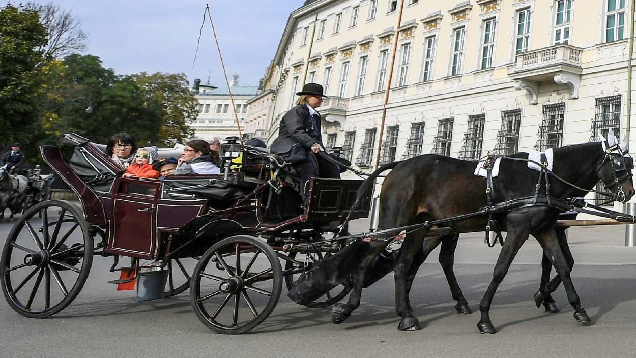 Tierschützer gegen Fiaker: Wie weit darf Tierschutz gehen?