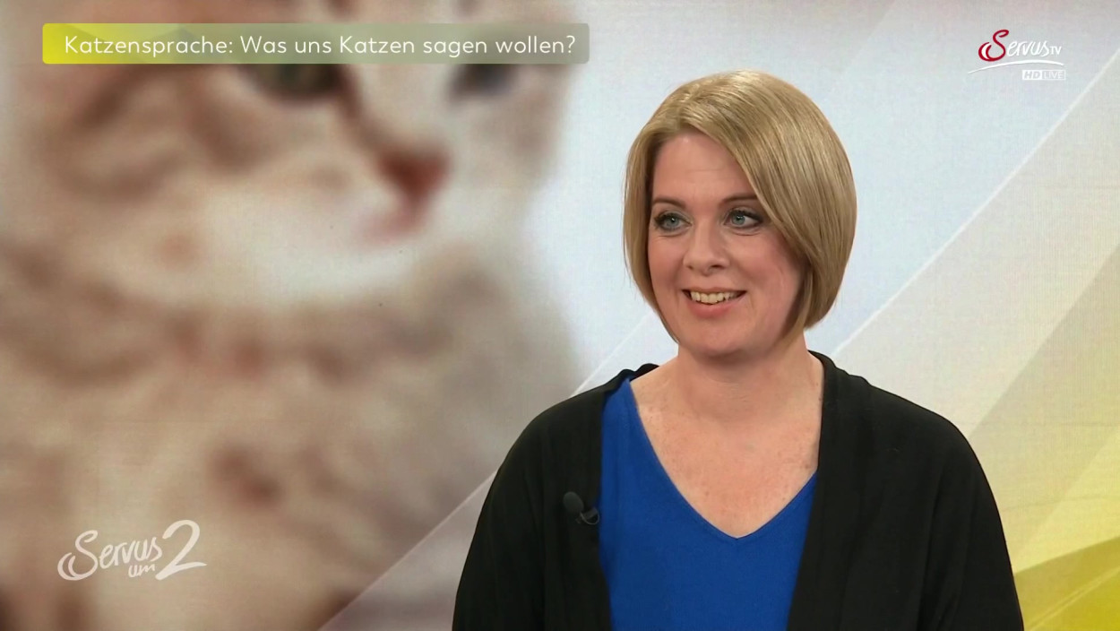 Katzensprache: Was wollen Katzen uns sagen?