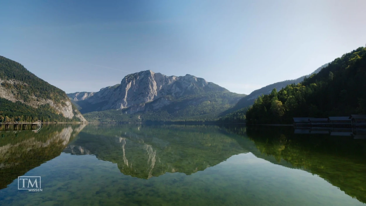 Wie ist der Altausseer Unterwasserwald entstanden?