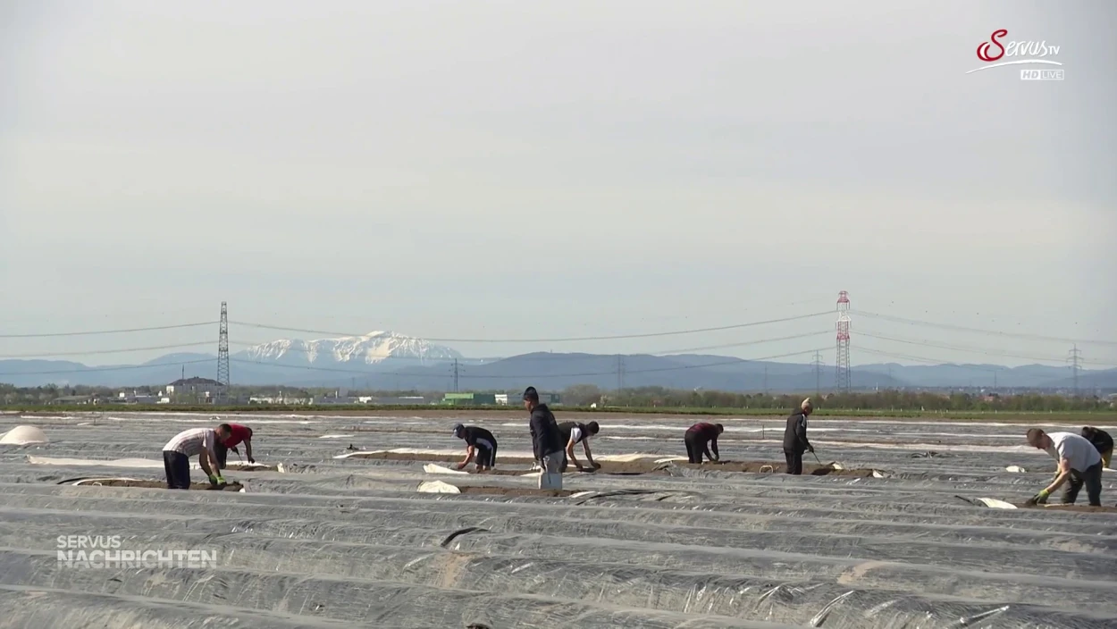 Bilanz zur Arbeitspflicht für Asylwerber
