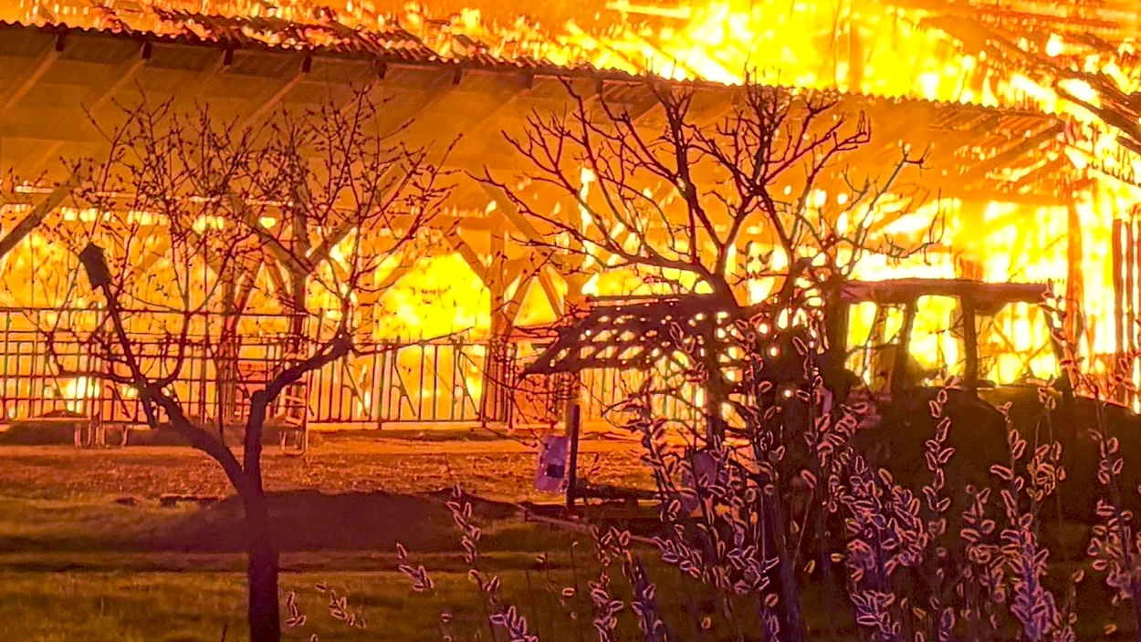 Bauer rettet Rinder aus brennendem Stall