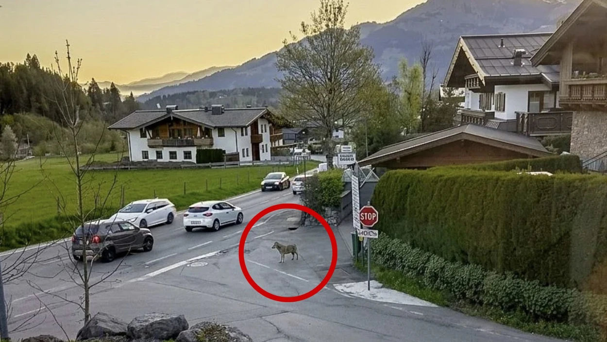 Servus Nachrichten in 90 Sekunden - 15:00 Uhr