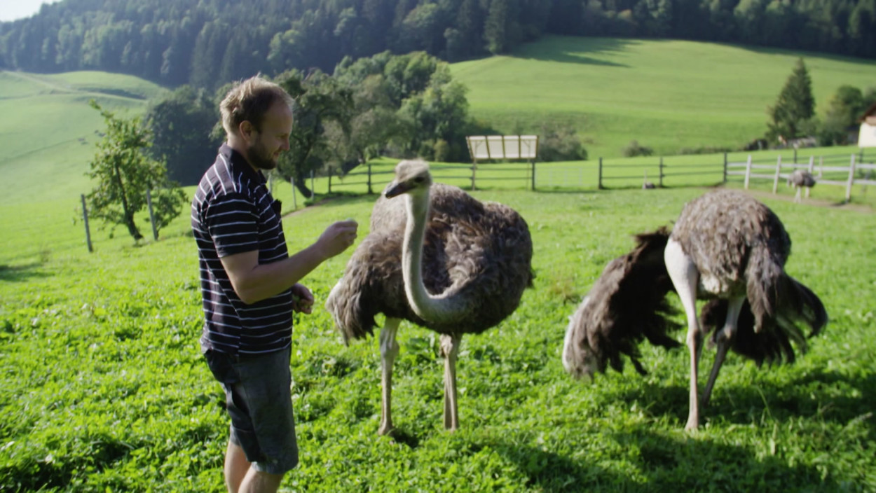 Wo Pomonens schönster Tempel steht