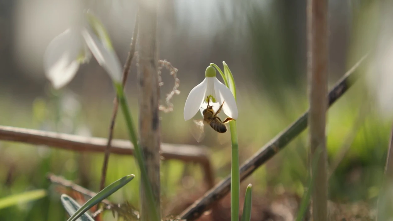 Von -33 bis +27 Grad: Die extremsten Wetter-Rekorde im März