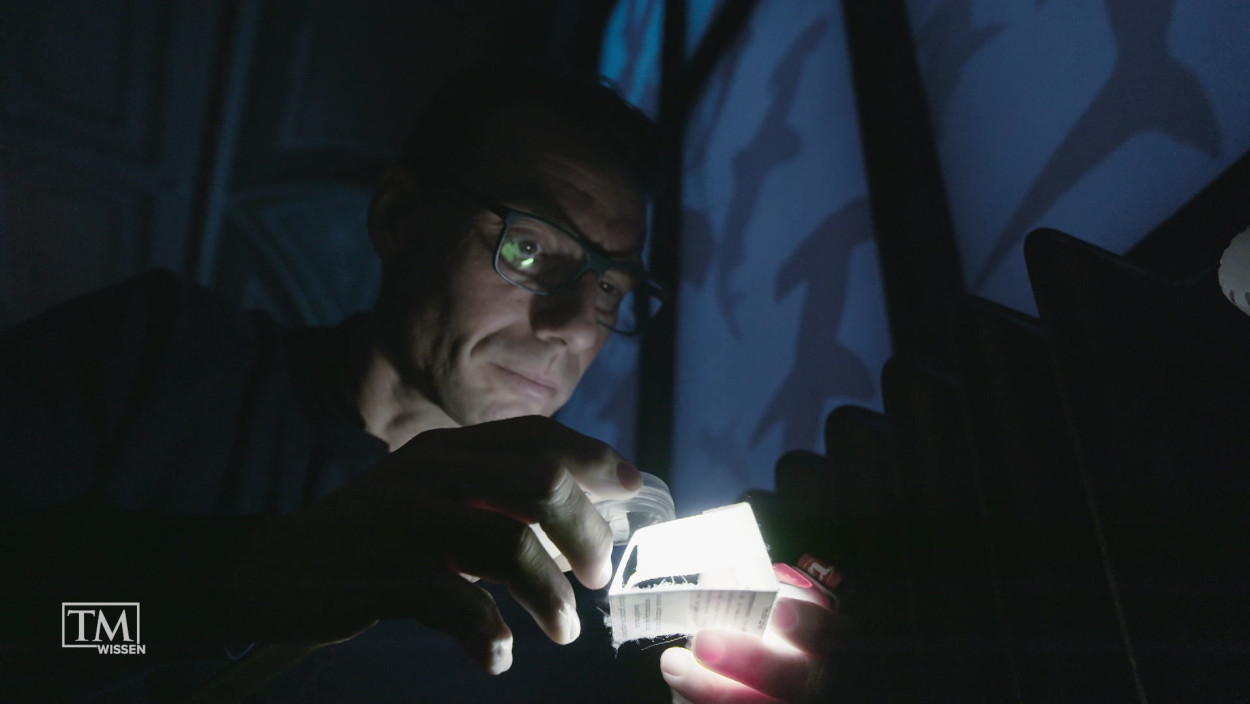 Was tun gegen Schädlinge im Museum?