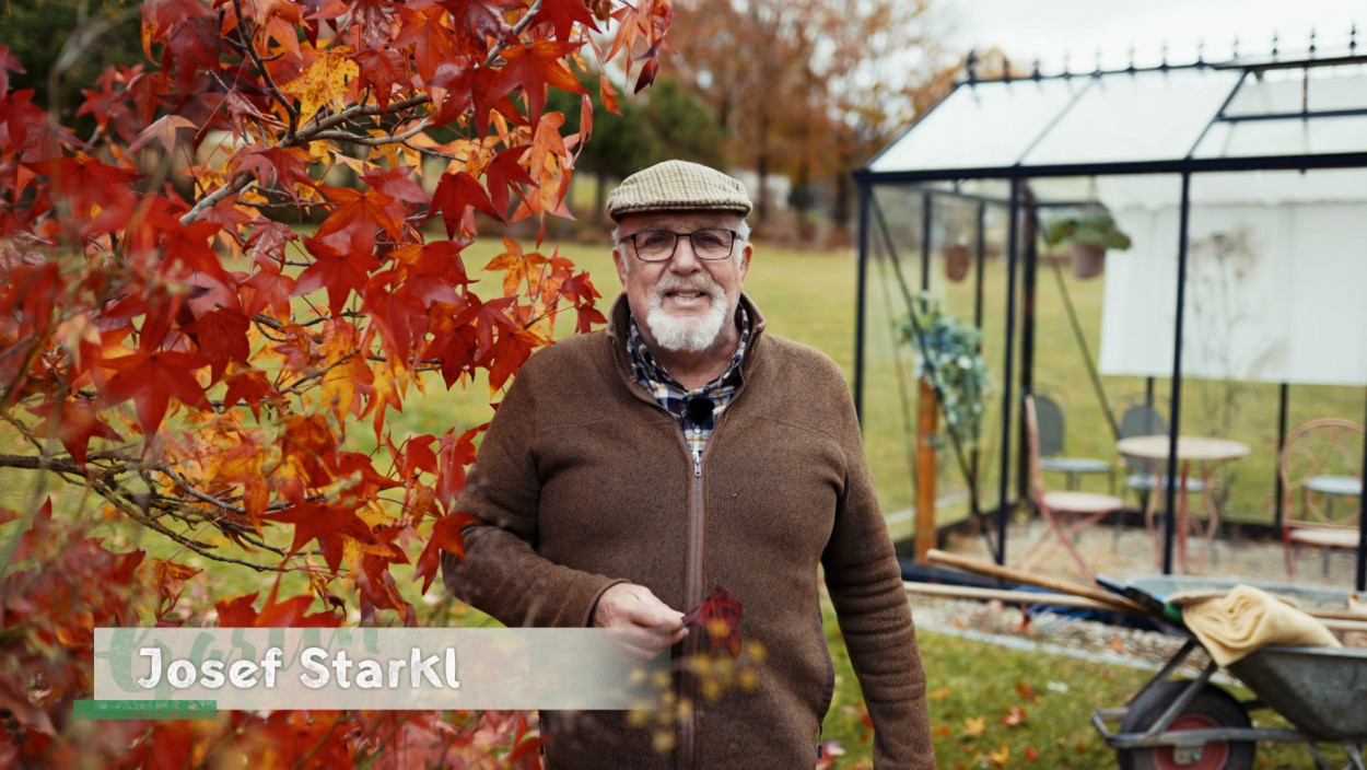 Herbstarbeiten