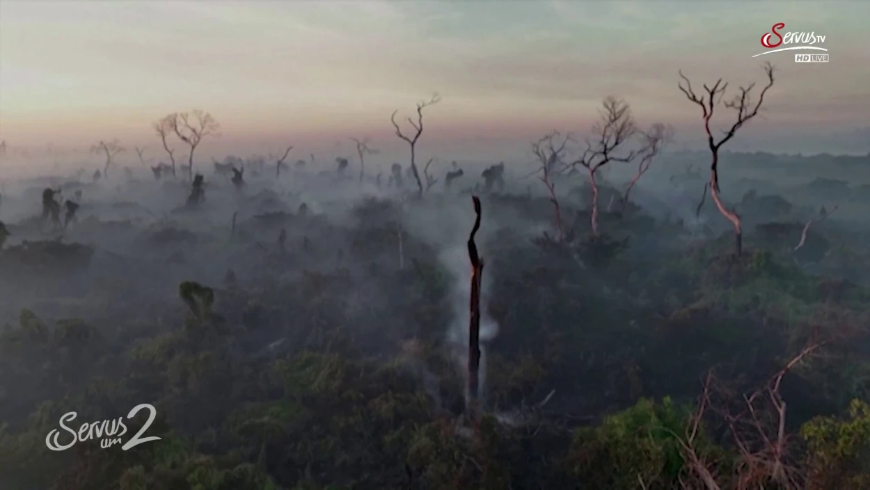 Neue Einigung: EU-Klimaziele leicht abgeschwächt