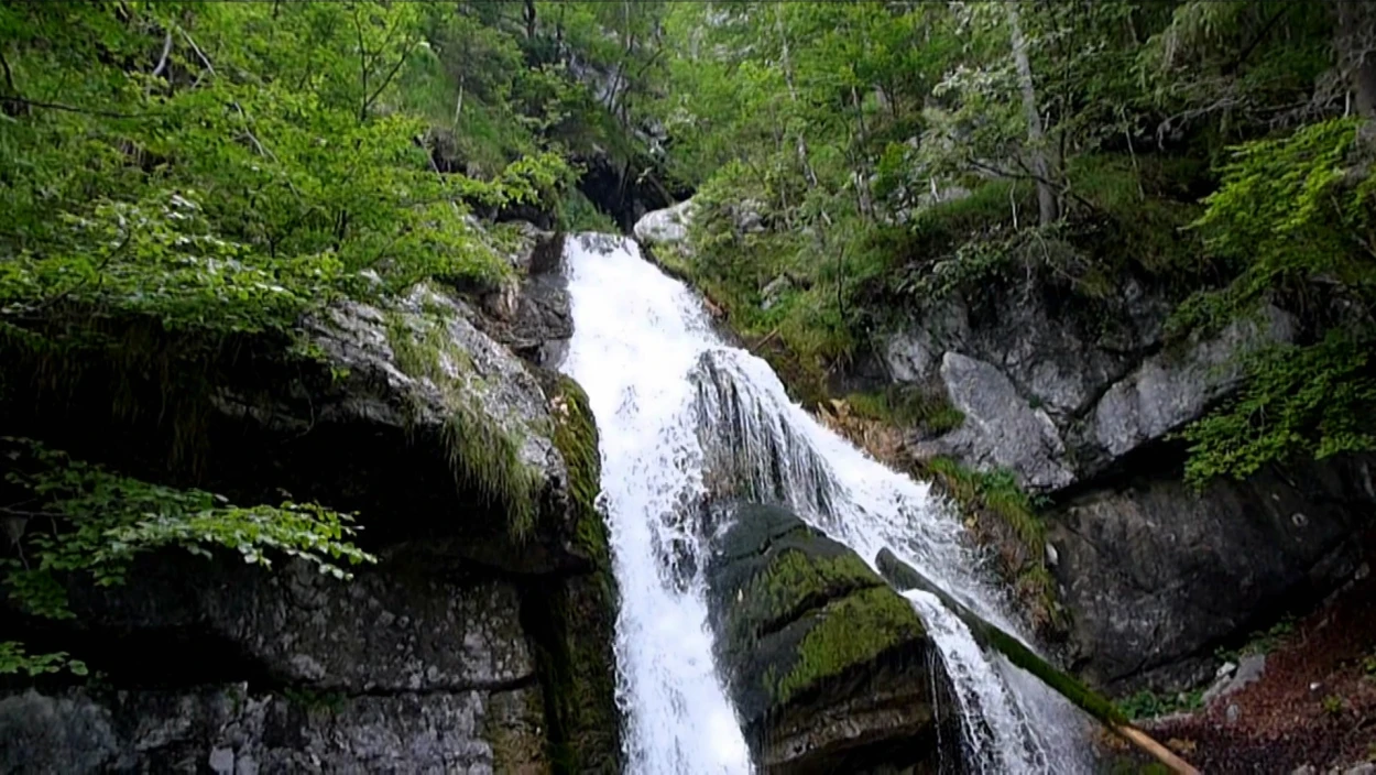 Das Wunder Wasser