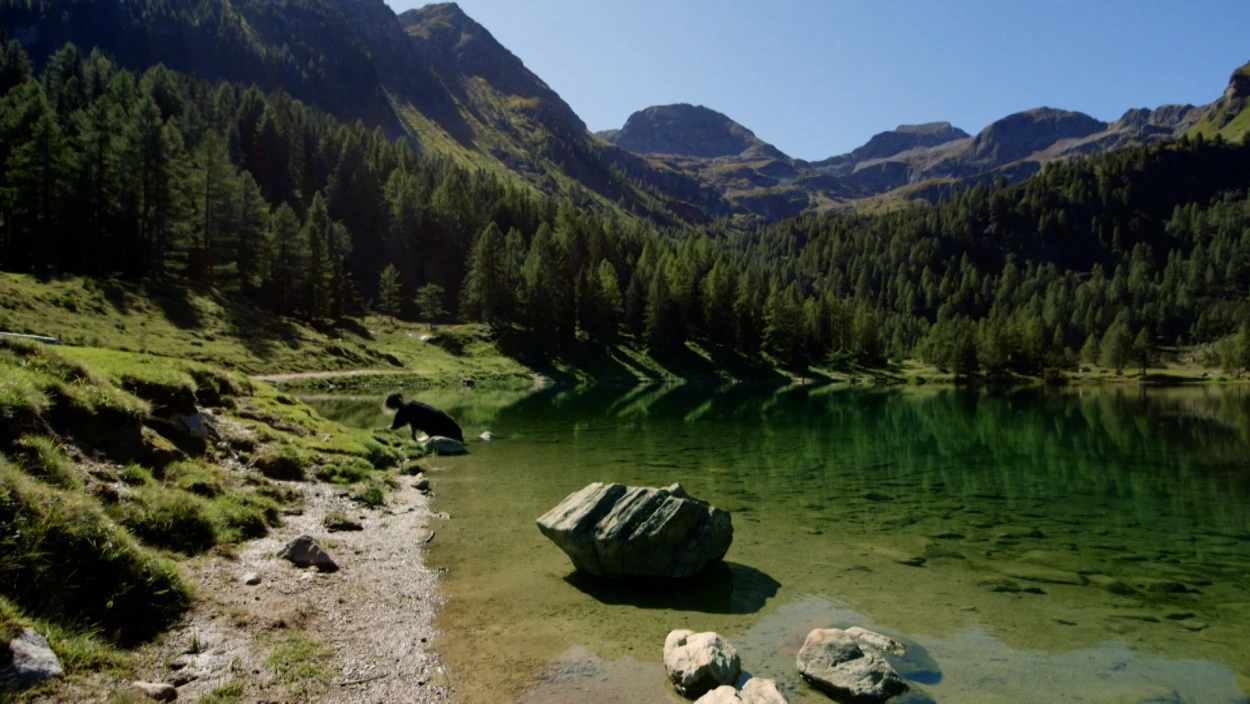 Paradies Bergsee